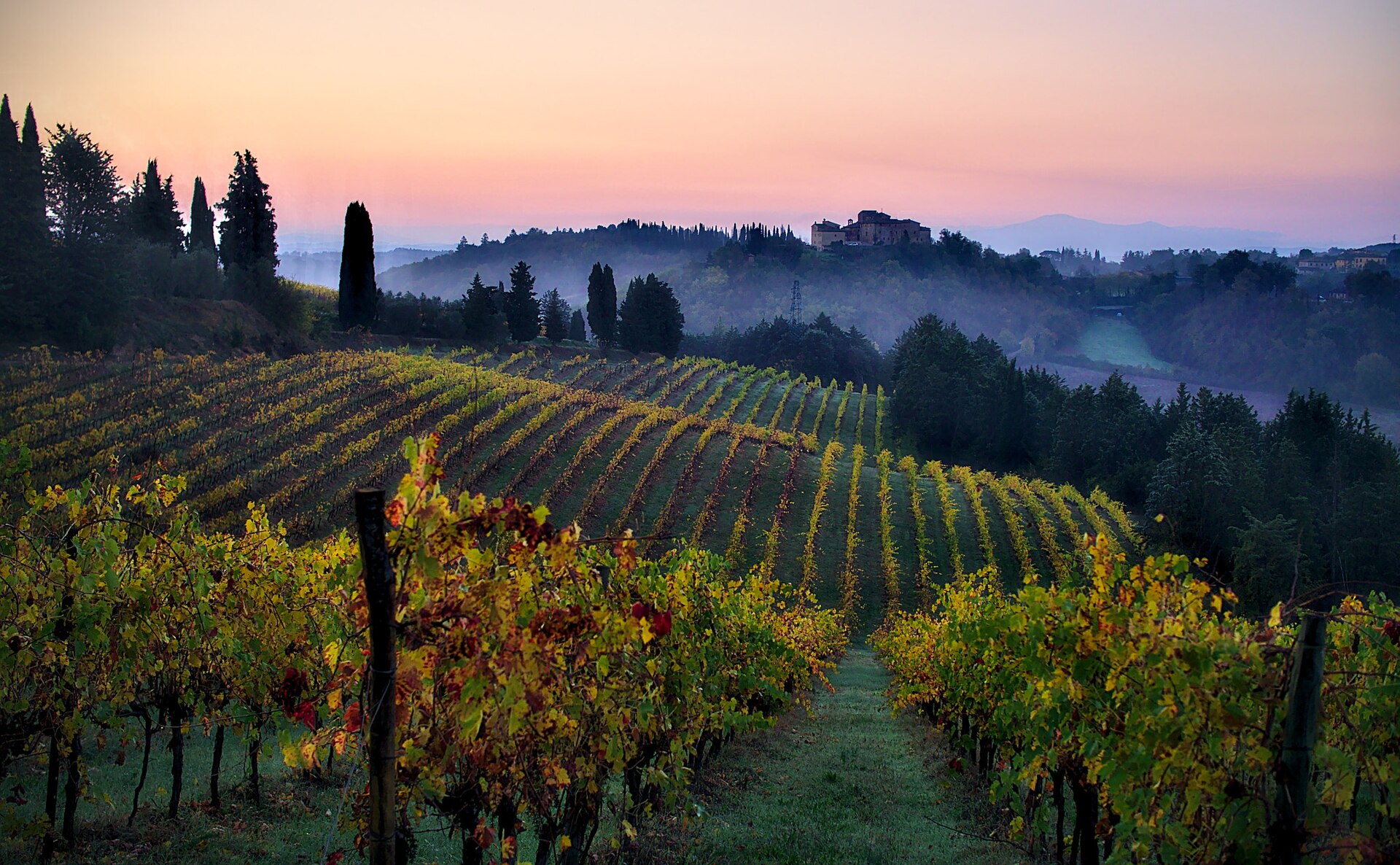 Vinhedos na Toscana durante o outono, com folhas coloridas.